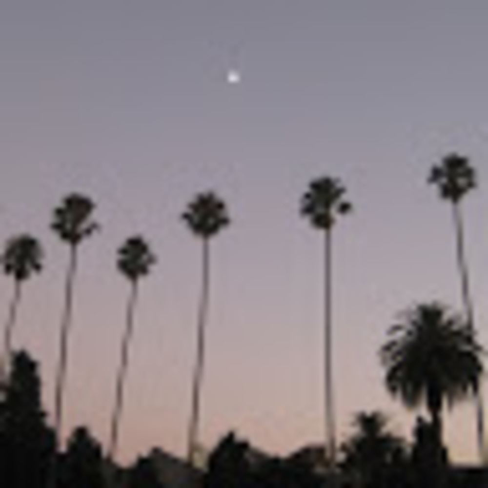 Meet your Posher, Liz